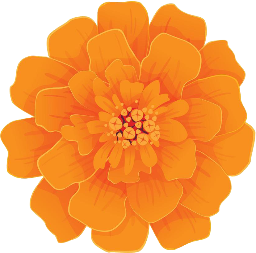 Marigold orange
