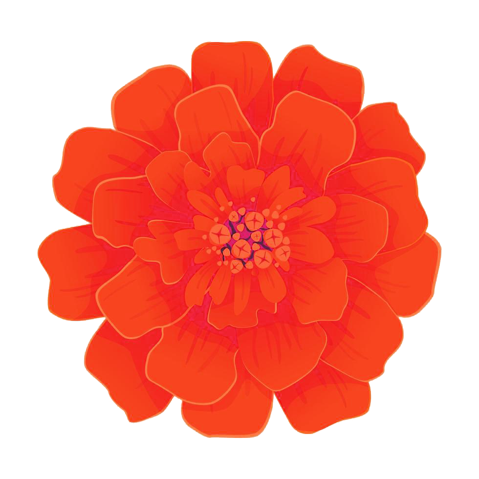 Marigold red